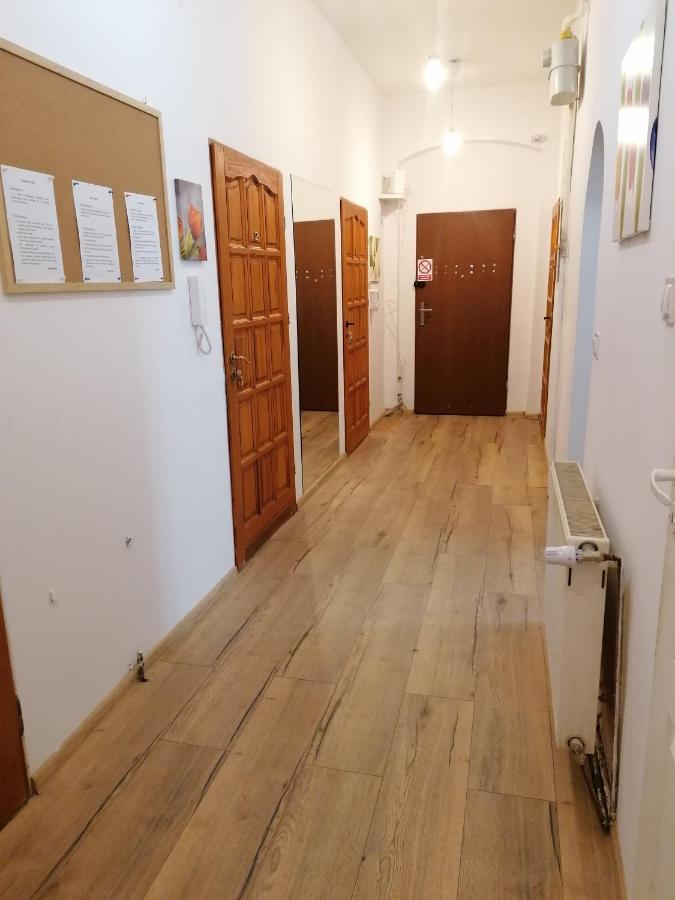 Hostel Tulip - Pokoj 5 Ze Wspolna Lazienka I Kuchnia 슈체친 외부 사진